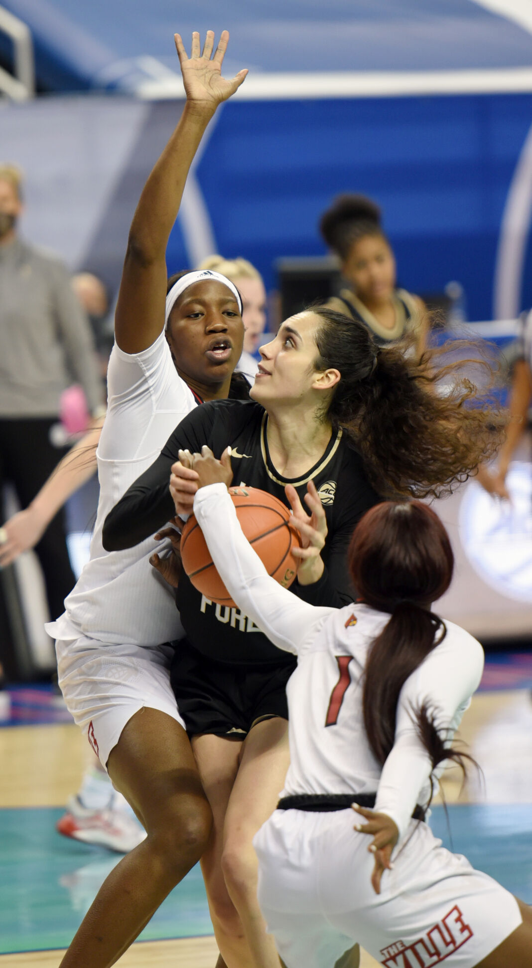 Wake Forest Louisville ACC Women's Tournament